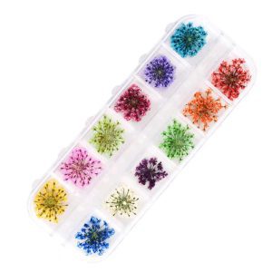 12 pack dried flowers 💐