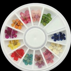 24 pack Dried Flowers Nail art