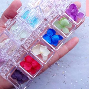 Small Dried Flowers in Assorted Colors  Floral Nail Art